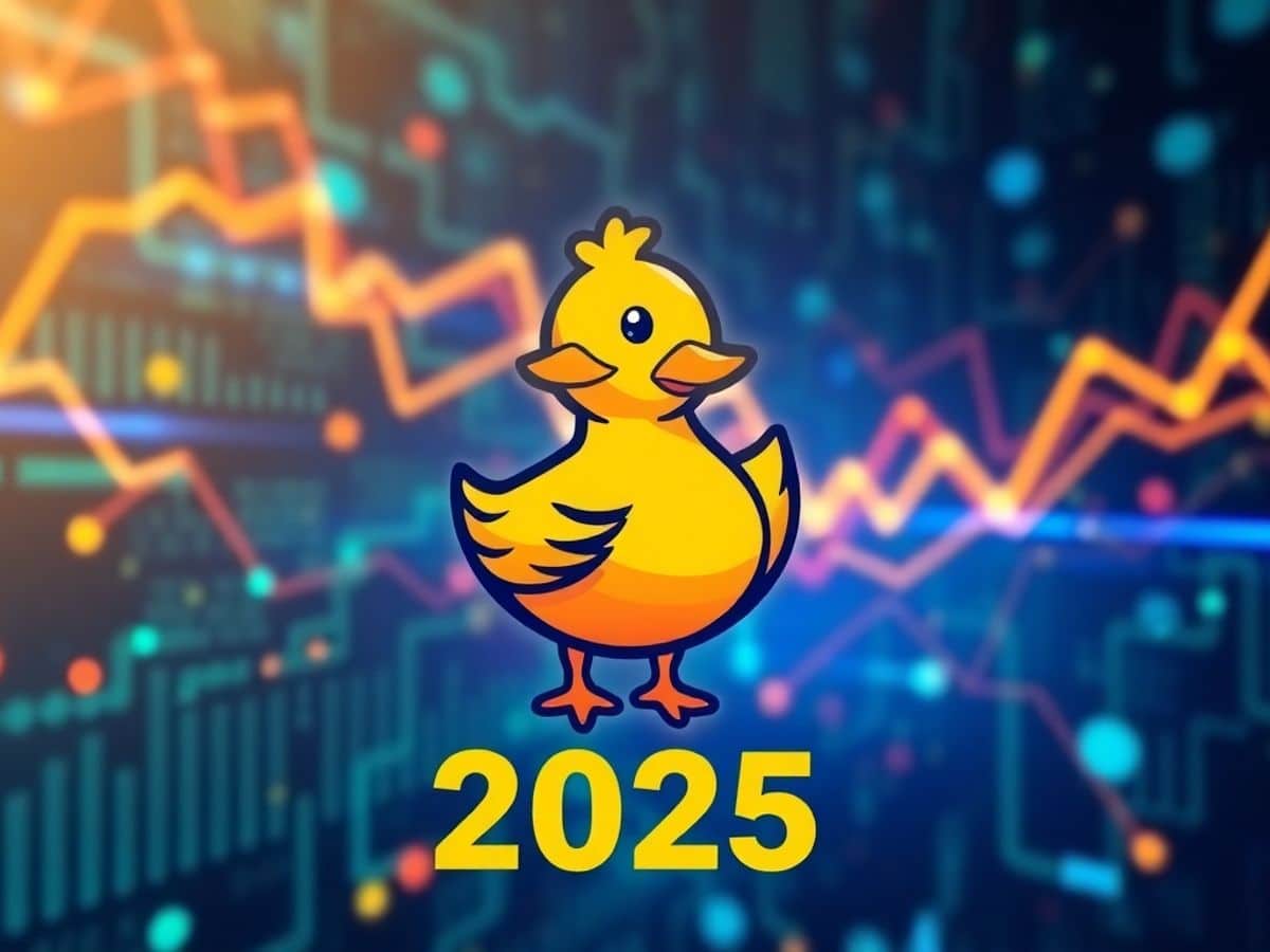 Duck Chain Listing Date - Key Details and Insights 2025